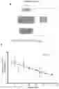 Fig. 08 - Biomarker of aging