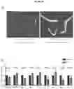 Fig. 43 - Biomarker of aging