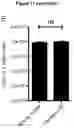 Fig. 47 - Biomarker of aging