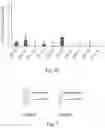 Fig. 04 - METHODS OF DIAGNOSING DISEASES BY EXTRACELLULAR VESICLES AND USES THEREOF