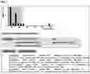 Fig. 07 - Method for preparing peptide fragments, kit for preparing peptide fragments to be used therein, and analysis method