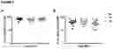 Fig. 03 - Materials and methods for subjects at risk for viral reactivation