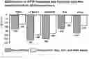 Fig. 01 - Methods of diagnosing and predicting renal disease