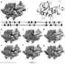Fig. 04 - Mapping protein binding sites and conformational epitopes using cysteine labelling and surface display library