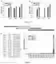 Fig. 09 - Mapping protein binding sites and conformational epitopes using cysteine labelling and surface display library
