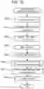 Fig. 11 - OLFACTION TEST DEVICE, OLFACTION TEST METHOD, AND PROGRAM