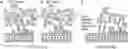 Fig. 01 - Magnetic resonance method for detecting molecular binding with enhanced sensitivity