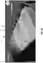Fig. 13 - Systems and methods for estimating reservoir stratigraphy, quality, and connectivity