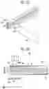 Fig. 13 - Backlight unit and display device having the same