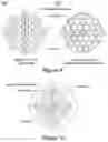 Fig. 12 - Space-division multiplexed reconfigurable, wavelength selective switch