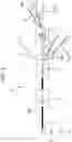 Fig. 05 - Optical fiber cable and method of manufacturing optical fiber cable