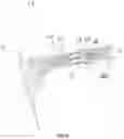 Fig. 06 - Imaging lens