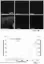 Fig. 05 - OPTICAL INTERFACES AND METHODS FOR RAPID VOLUMETRIC NEURAL MODULATION AND SENSING