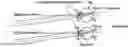Fig. 01 - Generic Reading Glasses with Convergence Assistance