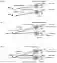 Fig. 05 - Generic Reading Glasses with Convergence Assistance