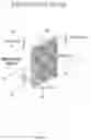 Fig. 02 - Switchable micro-lens array for augmented reality and mixed reality