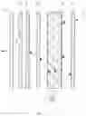 Fig. 02 - Backlight module and manufacturing method thereof