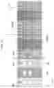 Fig. 10 - Display device including a color filter having an opening aligned with a virtual center line of a pixel