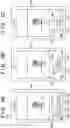 Fig. 13 - Image capturing apparatus controlling manual focus operation amounts before and after autofocus, control method thereof, and storage medium