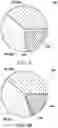 Fig. 05 - Illumination system and projection apparatus