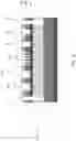 Fig. 04 - Extreme ultraviolet mask and method of manufacturing the same