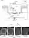 Fig. 02 - System and method for illuminating edges of an imprint field with a gradient dosage