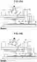 Fig. 14 - IMPRINT APPARATUS, IMPRINT METHOD, AND MANUFACTURING METHOD OF SEMICONDUCTOR DEVICE