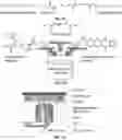 Fig. 02 - Additive manufacturing of architectured materials