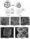Fig. 03 - Additive manufacturing of architectured materials