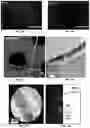 Fig. 05 - Additive manufacturing of architectured materials