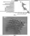 Fig. 09 - Additive manufacturing of architectured materials