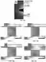 Fig. 15 - Additive manufacturing of architectured materials