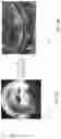 Fig. 08 - Method of cleaning extreme ultraviolet lithography collector