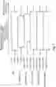 Fig. 08 - Image forming apparatus