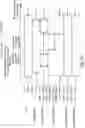 Fig. 13 - Image forming apparatus