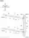 Fig. 06 - Image forming apparatus