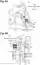 Fig. 09 - Image forming apparatus