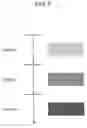 Fig. 09 - Image forming apparatus