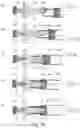 Fig. 63 - Drum unit, cartridge and coupling member