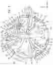 Fig. 06 - Device for timepiece, timepiece movement and timepiece comprising such a device