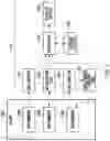 Fig. 02 - Apparatus, computer-readable recording medium, and method