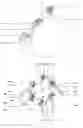 Fig. 19 - Manipulating device