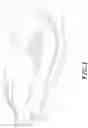 Fig. 02 - ELECTRONIC ERASE DEVICE
