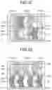 Fig. 27 - Display device with touch detection function and electronic apparatus