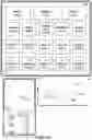 Fig. 12 - Devices, methods, and graphical user interfaces for moving a current focus using a touch-sensitive remote control