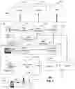 Fig. 05 - System and method of providing automated customer service with augmented reality and social media integration