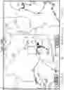 Fig. 19 - Display device