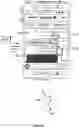 Fig. 35 - Device, method, and graphical user interface for moving user interface objects