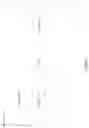 Fig. 06 - Dynamic volume replication factor adjustment