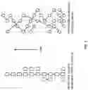 Fig. 04 - METHODS FOR DECENTRALIZED GENOME STORAGE, DISTRIBUTION, MARKETING AND ANALYSIS